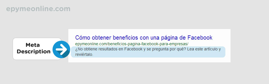 Meta Description Escritura